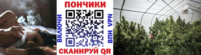 Где купить наркотики Макарьев COCAIN  APVP  Бошки Шишки  Гашиш 