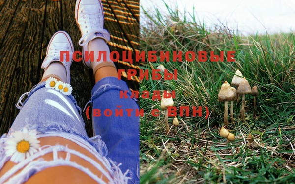 бутик Зеленокумск